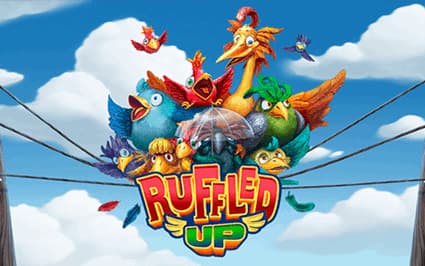Ruffled up
